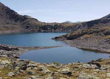 kofelrastersee-website