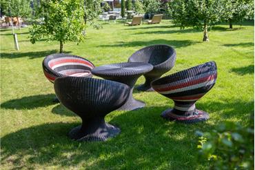 Lawn area