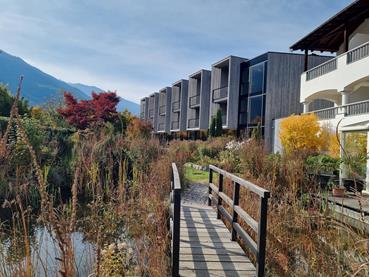 Garten im Herbst