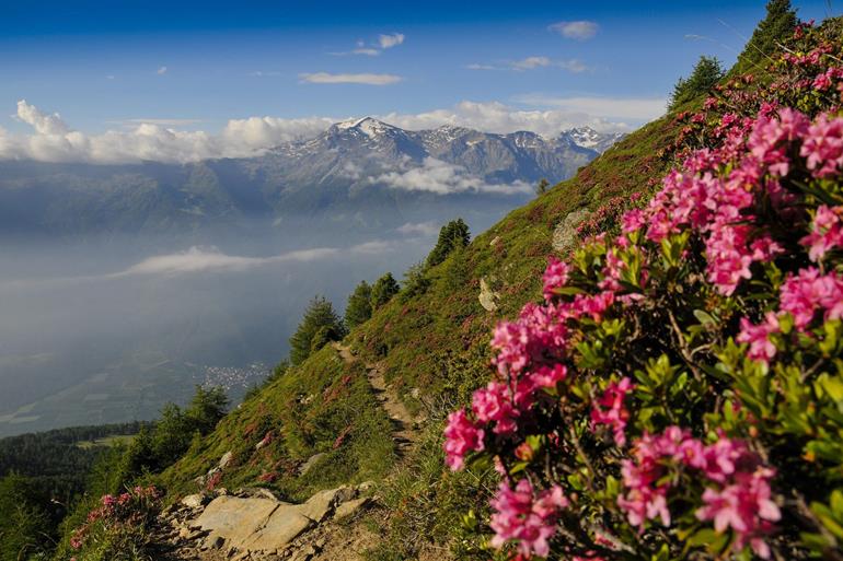 Frühling