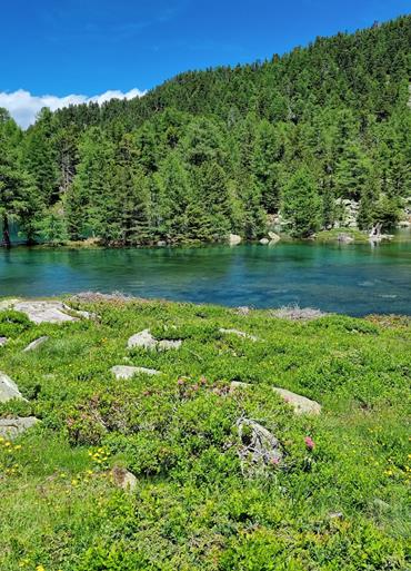 Zirmtal Lake