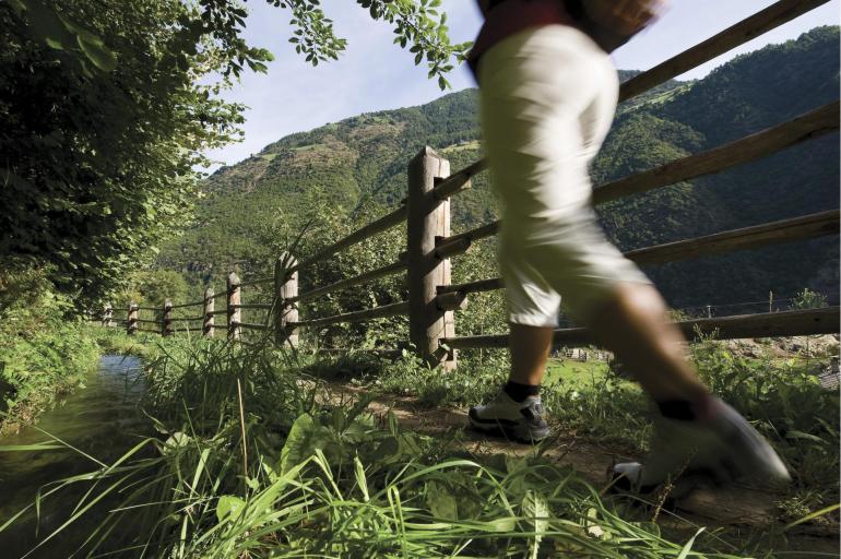 An irrigation channel path