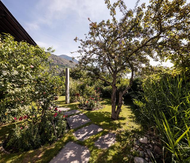 Im Garten