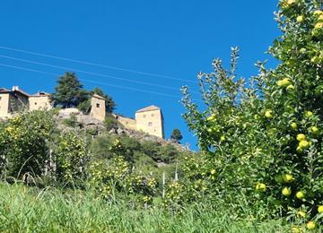 ROGGIA PATH JUVAL CASTLE