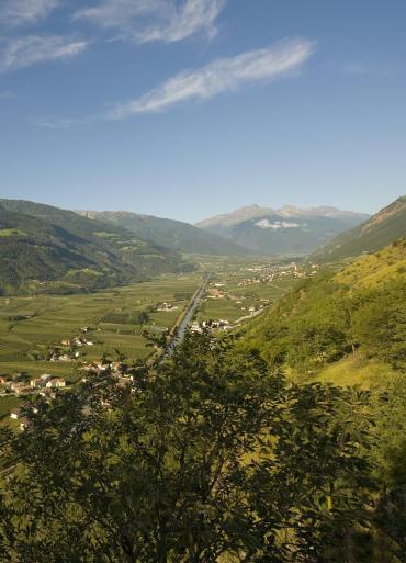 Das Vinschgau