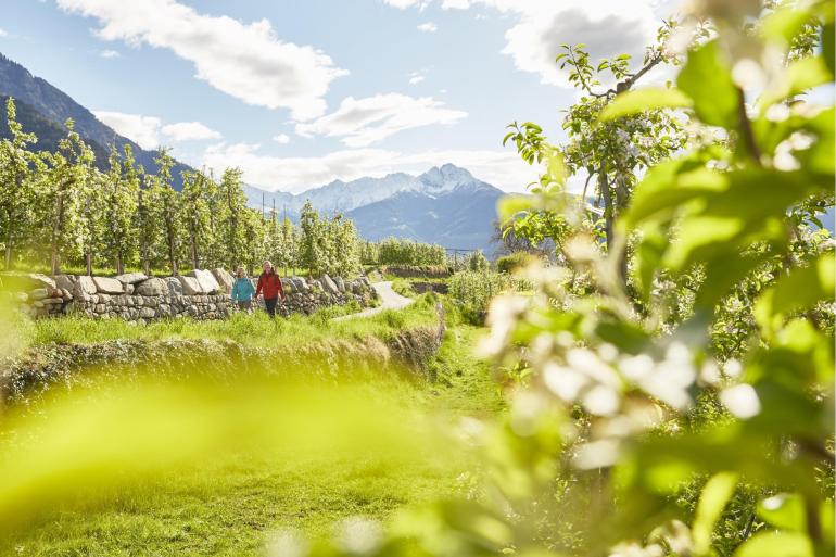 Wandern im Frühling