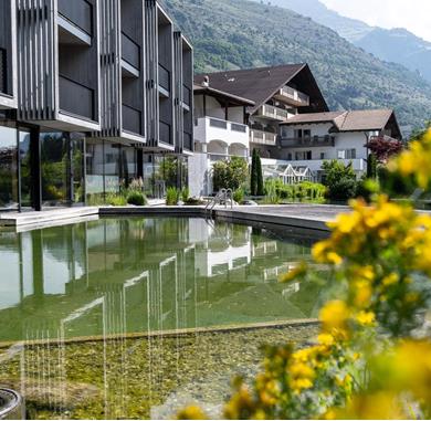Naturbadeteich Hotel Sand