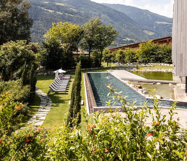 Garten und Pool-Landschaft